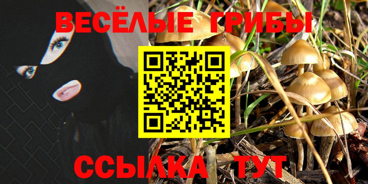 Галлюциногенные грибы мухоморы Изобильный