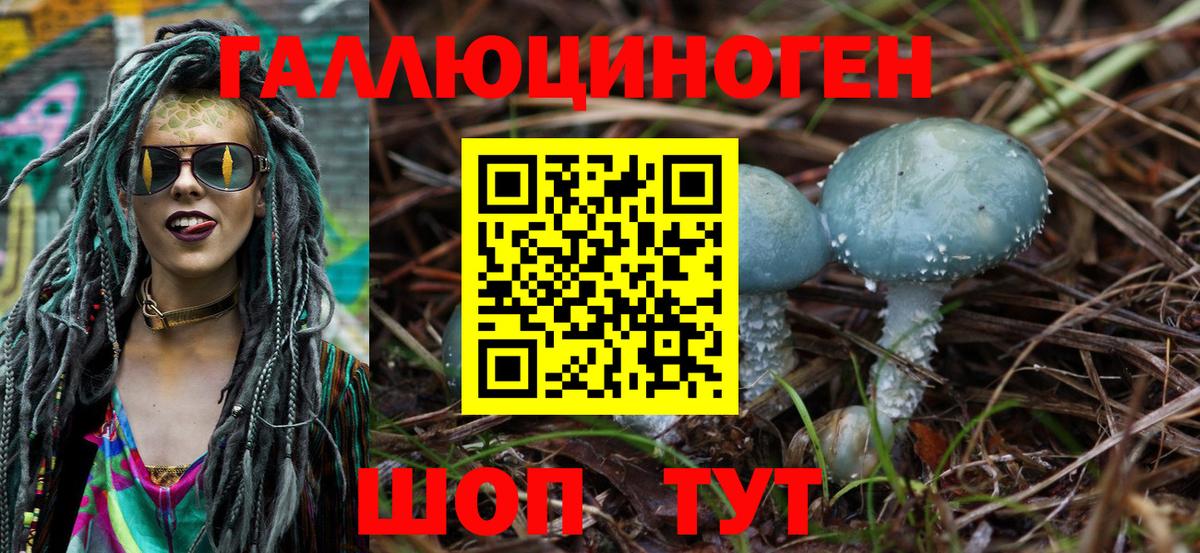 Галлюциногенные грибы прущие грибы  Галлюциногенные грибы Psilocybine cubensis  Вход с VPN  Изобильный 